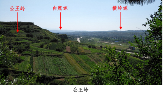 3044永利